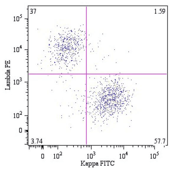 Mouse Anti-Human Kappa Light Chain Secondary Antibody (clone A8B5, FITC)