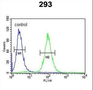 SERPINB3 Antibody (aa40-69)