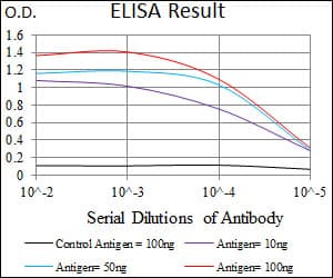 DNAL4 / Dynein Light Chain 4 Antibody (aa1-105, clone 3B7B7)