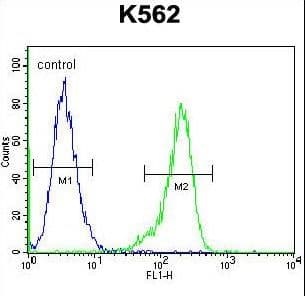 RPS19 / Ribosomal Protein S19 Antibody (aa25-54)