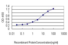 Monoclonal Mouse anti-Human BLIMP1 / PRDM1 Antibody (clone 2B10, WB)