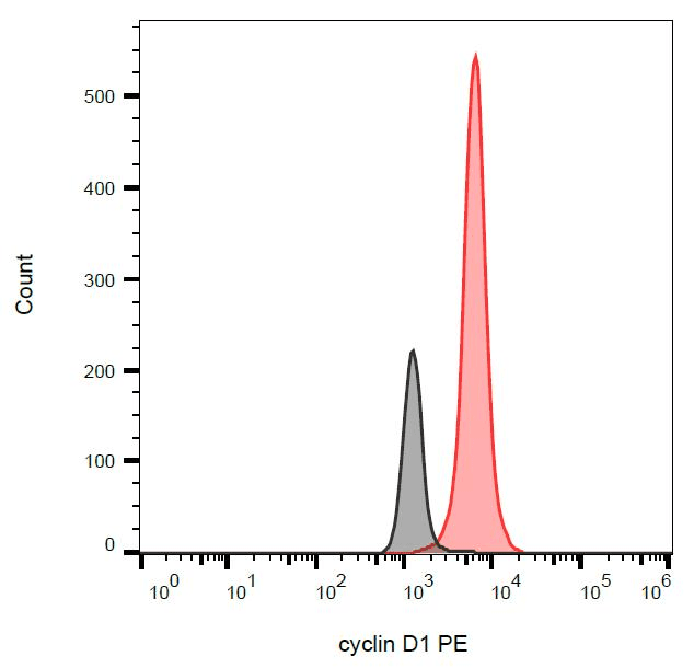 Monoclonal Mouse anti-Human CCND1 / Cyclin D1 Antibody (clone DCS-6, PE, IHC, WB)