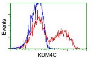 KDM4C / JMJD2C Antibody (clone OTI4B1)