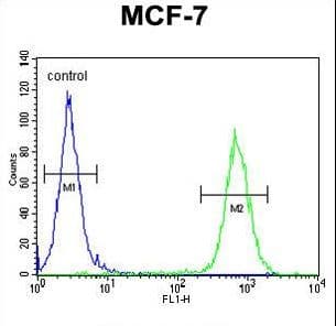 ARHGAP44 Antibody (aa784-811)