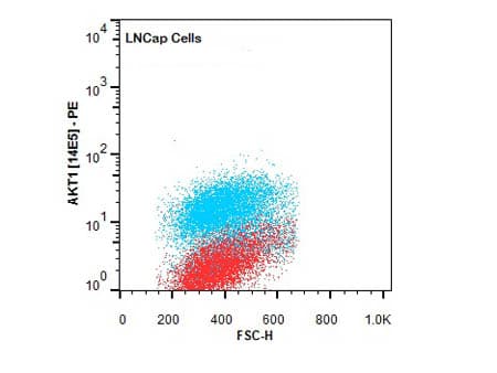 Monoclonal Mouse anti-Human AKT1 Antibody (clone 14E5.A2.B2.H9, RPE, Internal, IHC, IF, WB)