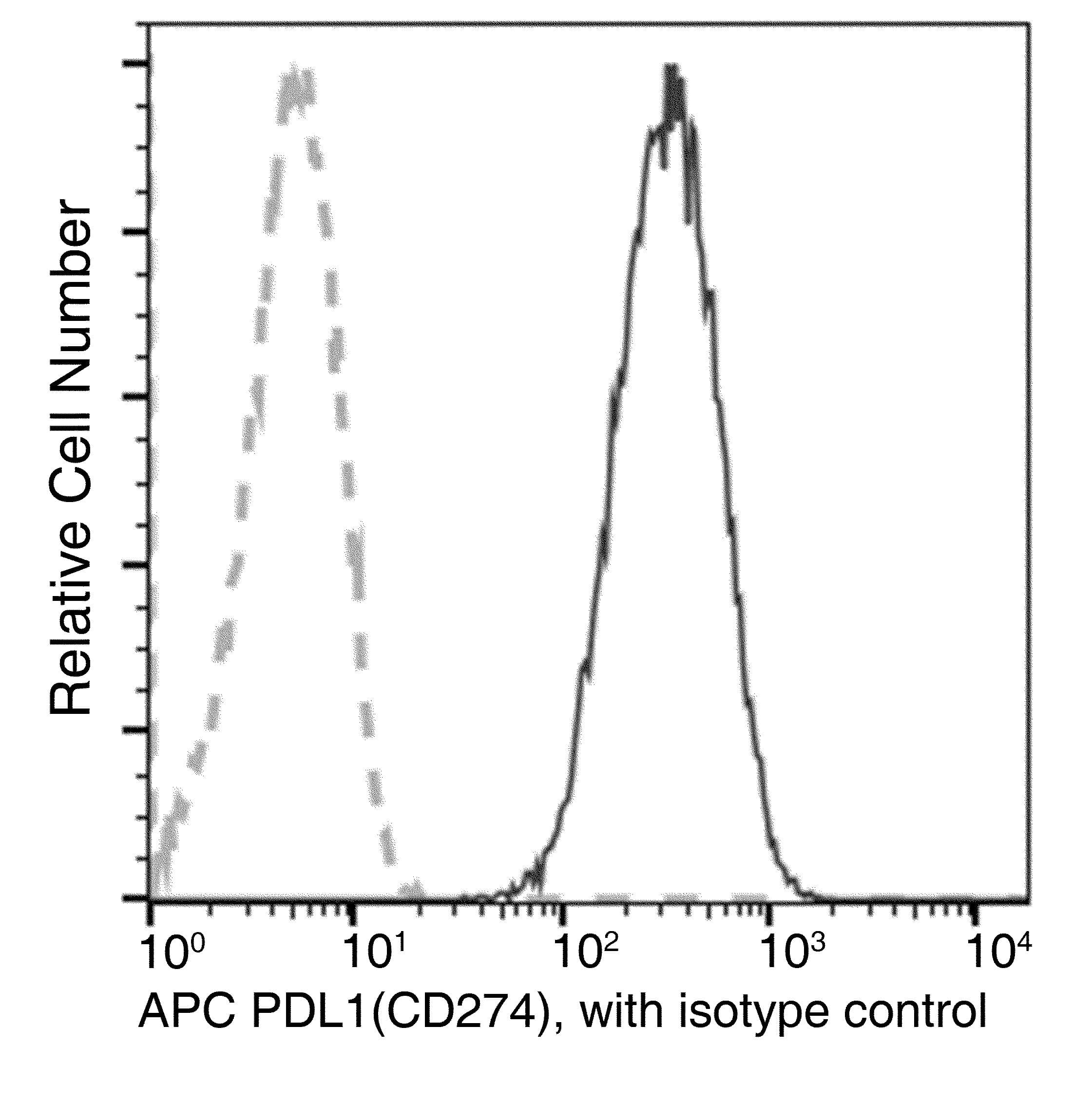 CD274 / B7-H1 / PD-L1 Antibody (clone 36, APC)