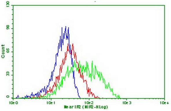 PDCD1 / CD279 / PD-1 Antibody (clone OTI27E8)