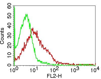 PDCD1 / CD279 / PD-1 Antibody