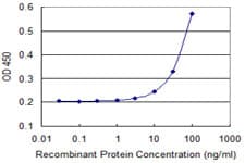 PEX11B Antibody (clone 2D2)