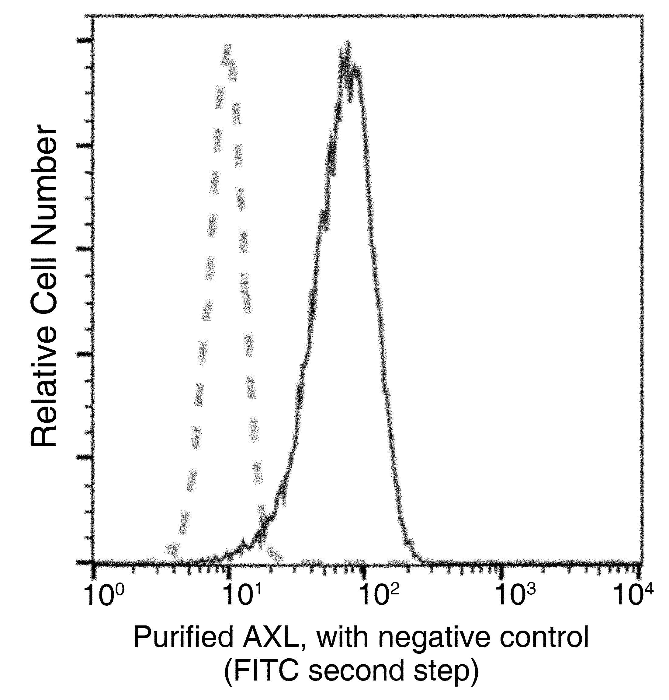 AXL Antibody (clone 12, Preservative Free)