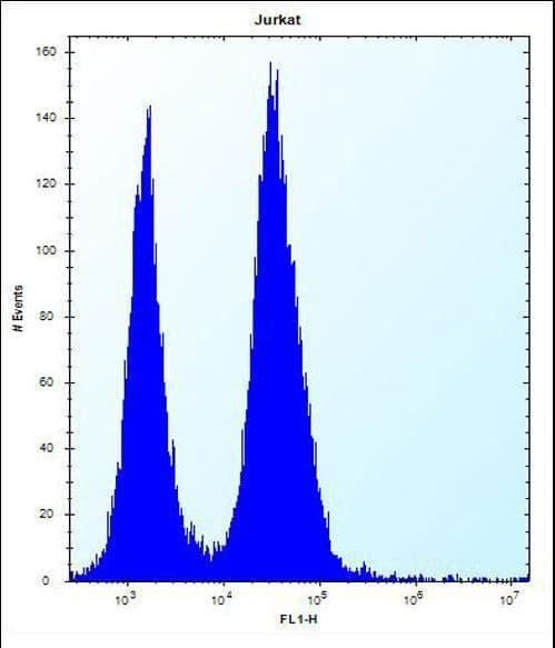 SSR2 Antibody (aa154-183)