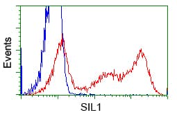 Monoclonal Mouse anti-Human BAP / SIL1 Antibody (clone OTI1G7, IHC, IF, WB)
