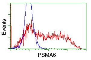 PSMA6 Antibody (clone OTI5H3)