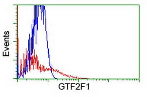 RAP74 / GTF2F1 Antibody (clone OTI4B10)