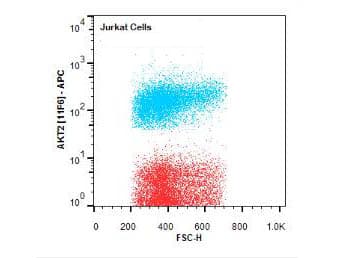 AKT2 Antibody (Internal, clone 11F6.B2, APC)