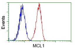 IHC-plus™ Monoclonal Mouse anti-Human MCL1 / MCL 1 Antibody (clone 2E11, IHC, IF, WB)