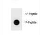 BAD Antibody (phospho-Thr94)