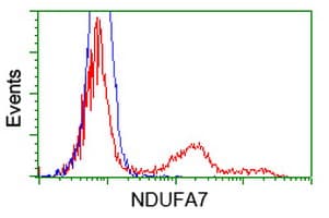 NDUFA7 Antibody (clone OTI2A4, Carrier-free)