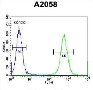 CCDC148 Antibody (aa279-307)