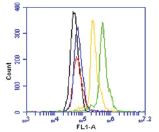 PORCN Antibody (aa224-239)