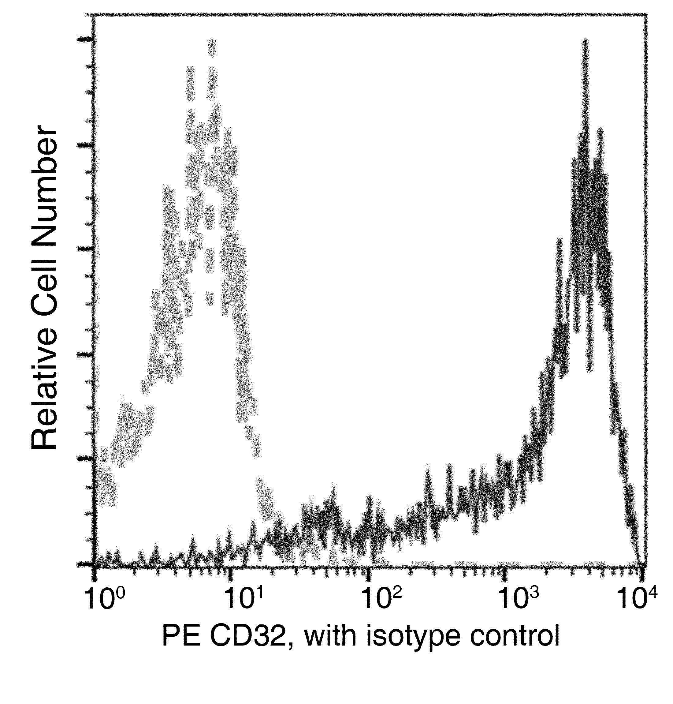 Monoclonal Mouse anti-Crab-eating macaque CD32B Antibody (clone 12, PE)