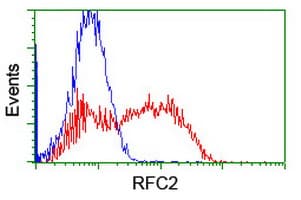 RFC2 / RFC40 Antibody (clone OTI11C6, Carrier-free)