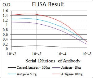 PathPlus™ Monoclonal Mouse anti-Human MSN / Moesin Antibody (clone 2C12, aa292-491, IHC, WB)