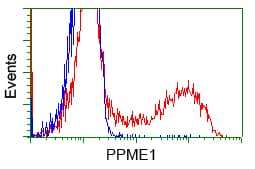 PME-1 / PPME1 Antibody (clone OTI10A12, Carrier-free)