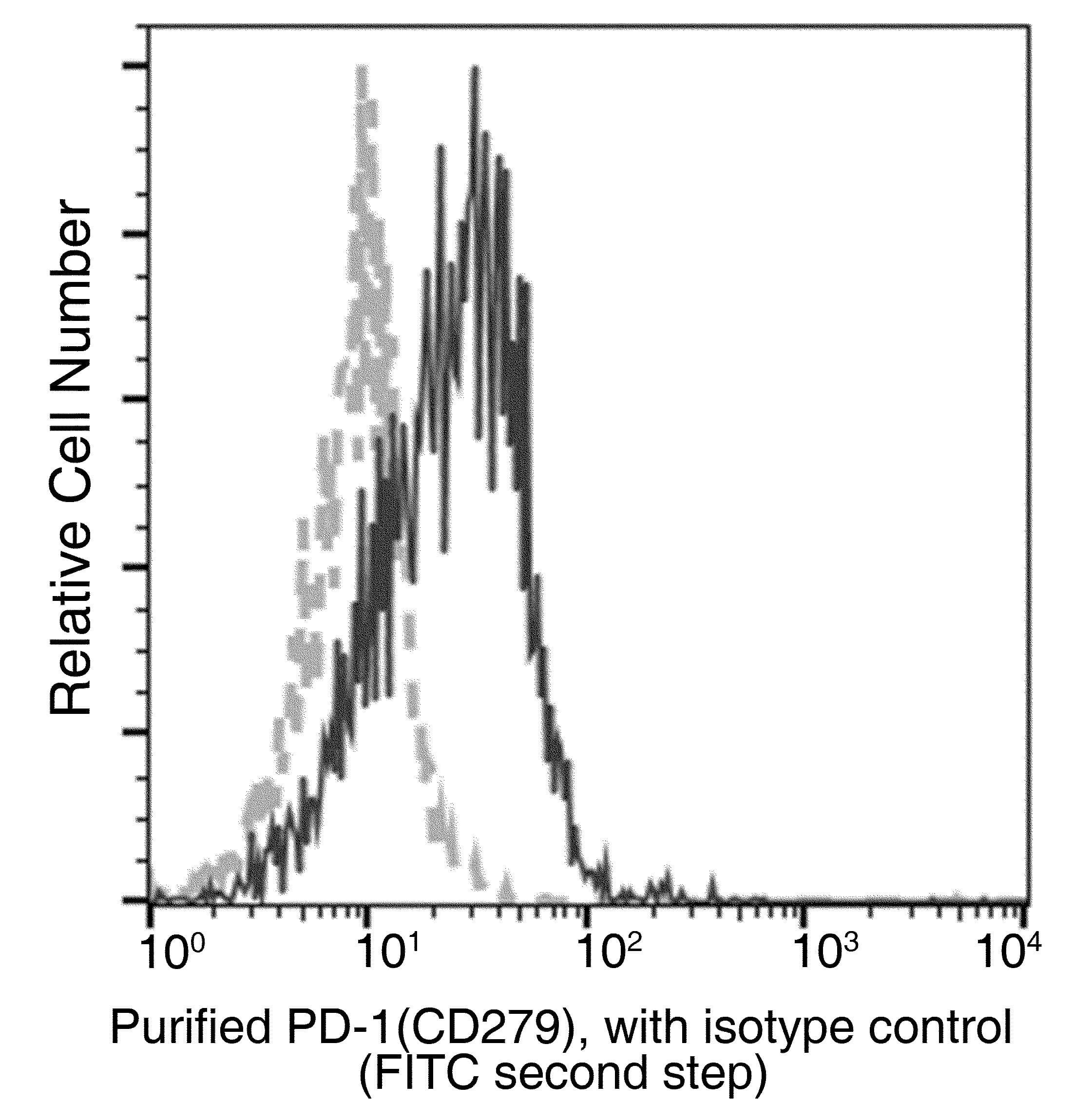 Monoclonal Mouse anti-Human PDCD1 / CD279 / PD-1 Antibody (clone 18, Preservative Free)