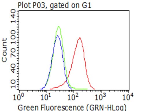 IGF1R / IGF1 Receptor Antibody (aa741-935, clone OTI4C4)