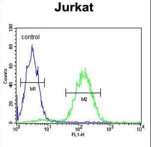 MAGEA3 Antibody (aa283-314)