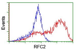RFC2 / RFC40 Antibody (clone OTI5A1)