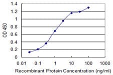 PPFIBP2 Antibody (clone 1B3)