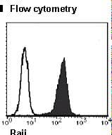 PCNA Antibody (clone 5A10)