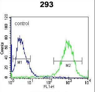 STX16 / Syntaxin 16 Antibody (aa247-274)