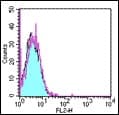 Monoclonal Rat anti-Mouse PD-L2 / PDCD1LG2 / CD273 Antibody (clone TY25, PE)