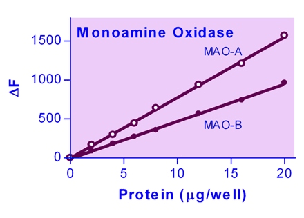 Monoamine Oxidase (MAO) Assay Kit (Fluorometric)