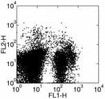 Monoclonal Rat anti-Mouse CD135 / FLT3 Antibody (clone A2F10)