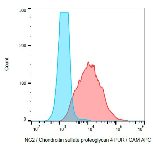 Monoclonal Mouse anti-Human CSPG4 / NG2 Antibody (clone 7.1, WB)
