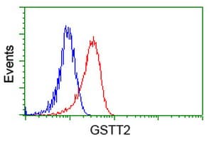 GSTT2 Antibody (clone OTI6B7, Carrier-free)