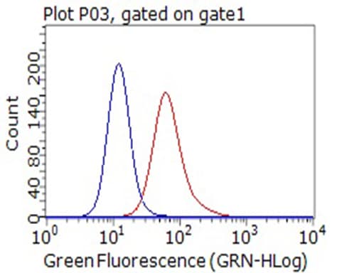 CD80 Antibody (clone OTI5B5)