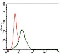 FZD5 / Frizzled 5 Antibody (Amino Acid: 151-217, clone 2D12)