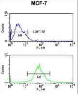 AIM2 Antibody (aa4-32)