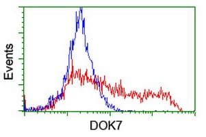 DOK7 Antibody (clone OTI7E2)