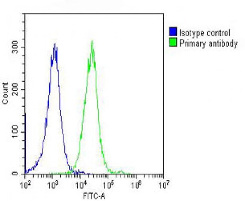 TUBA1B / Tubulin Alpha 1B Antibody