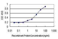 DEF6 Antibody (clone 1F2)