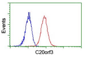 IHC-plus™ Monoclonal Mouse anti-Human APMAP / C20orf3 Antibody (clone OTI4F6, IHC, WB)