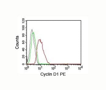 CCND1 / Cyclin D1 Antibody (clone DCS-6, Azide-free, BSA-free)