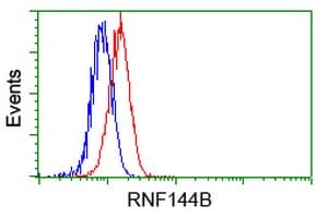 Monoclonal Mouse anti-Human RNF144B Antibody (clone OTI11G1, IF)