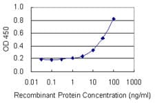 Monoclonal Mouse anti-Human RPLP1 Antibody (clone 1G10, IF, WB)